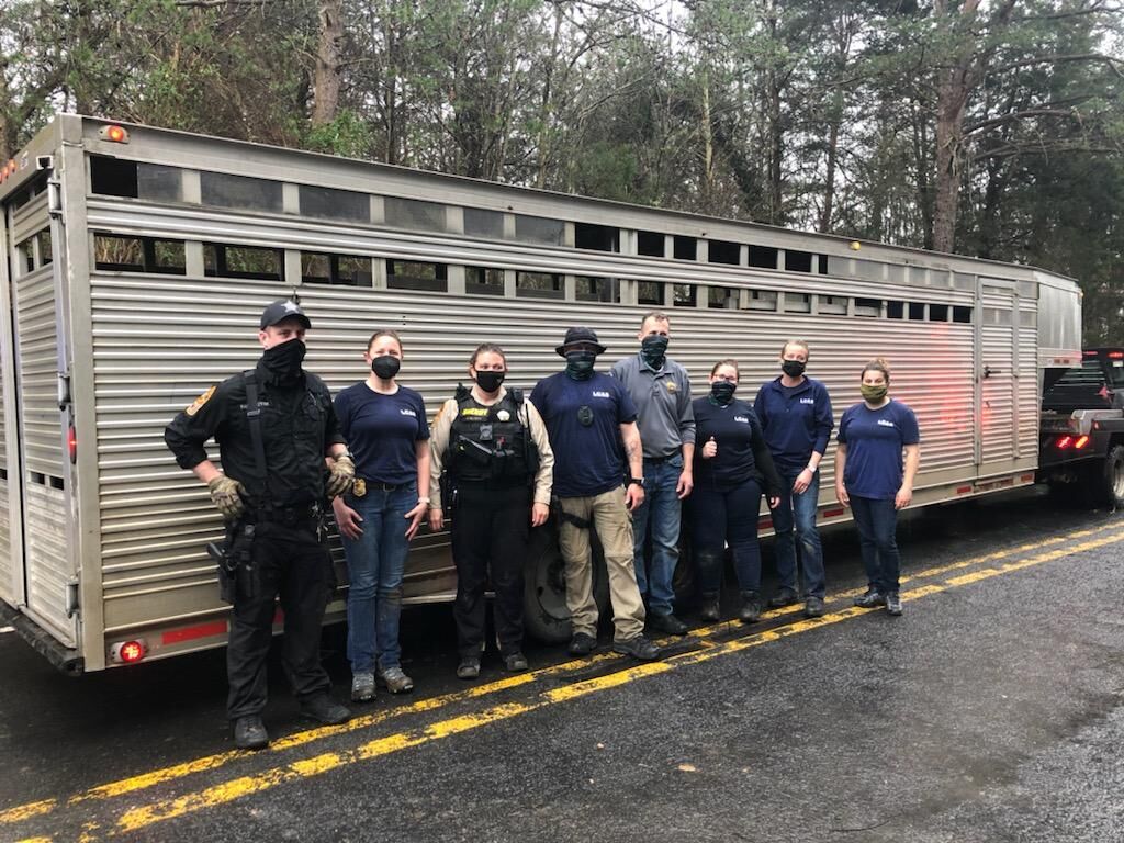 Sixteen dogs taken from Louisa County property